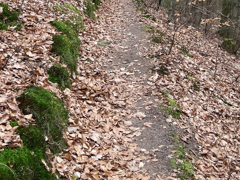 23-03-05 10-34-12 4733